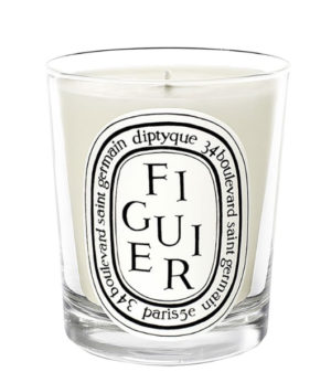 Figuier/Fig Tree Candle